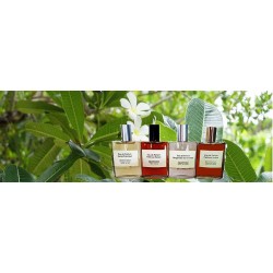 Les Trésors Cachés des Parfums de Grasse