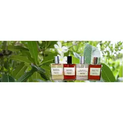 Les Trésors Cachés des Parfums de Grasse