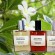 Les Trésors Cachés des Parfums de Grasse